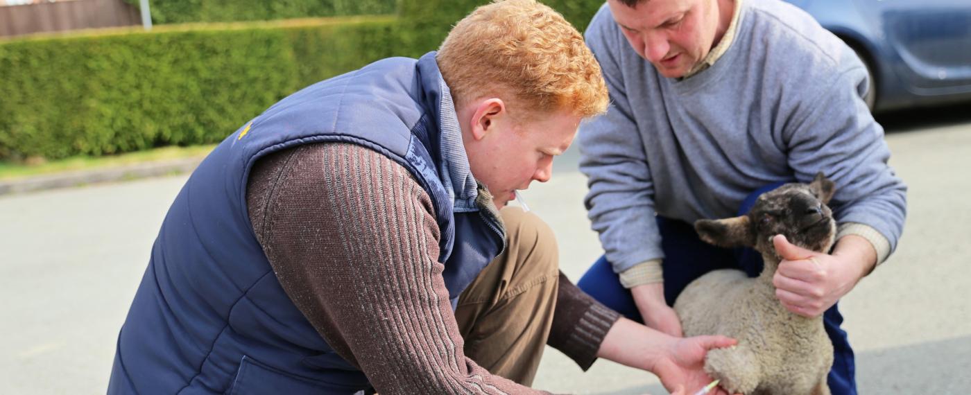 About Us Cain Veterinary Centre